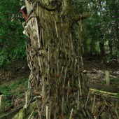 Tục lệ ném rìu vào cây sồi độc đáo ở đền Kama Hachimangu